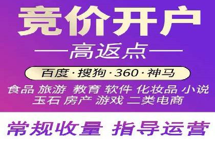 SEM运营策略案例分析